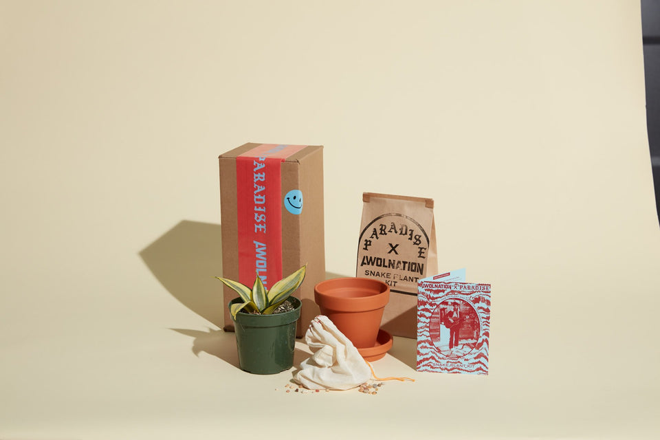 AWOLNATION X Paradise Kit
