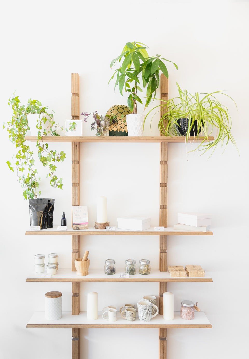 files/a-selection-of-candles-and-plants-on-wooden-shelves.jpg